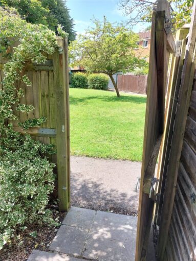 image 23